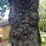 I Tre Lecci * Nocera Umbra
