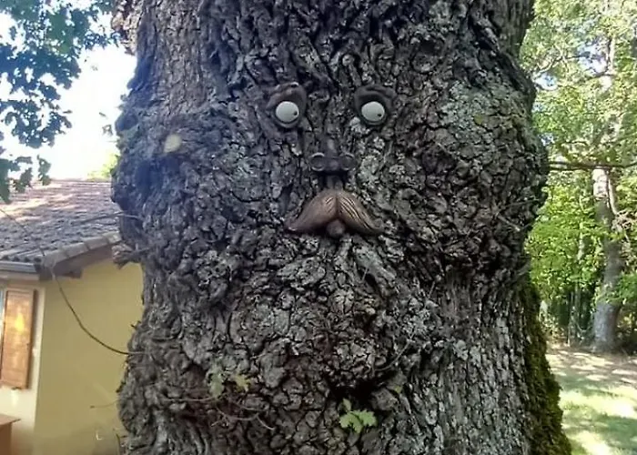 I Tre Lecci * Nocera Umbra